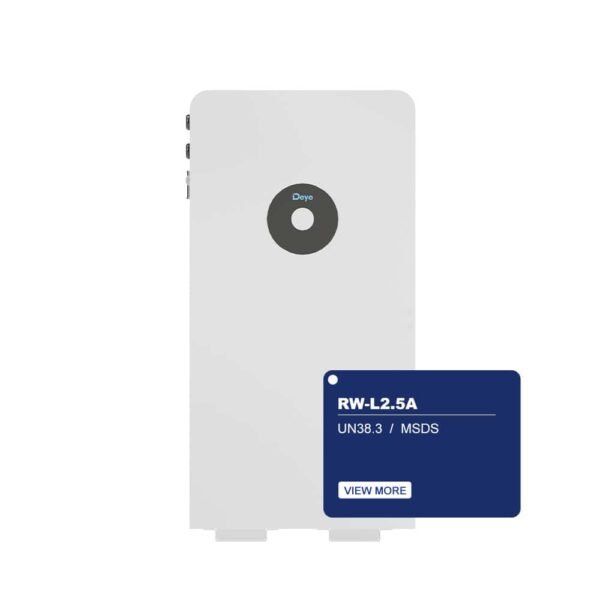 RW-L2.5A (AS, AF, LATAM) Water and Dust Resistance Real-time Monitoring