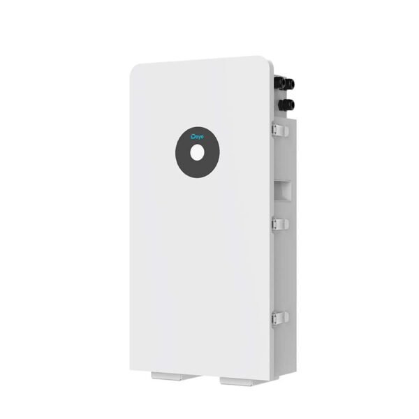 RW-L2.5A (AS, AF, LATAM) Water and Dust Resistance Real-time Monitoring